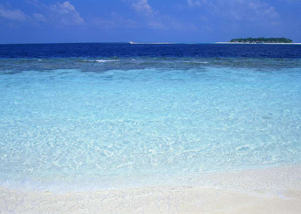 Petit Resort Native Sea Amami Tatsugo Buitenkant foto